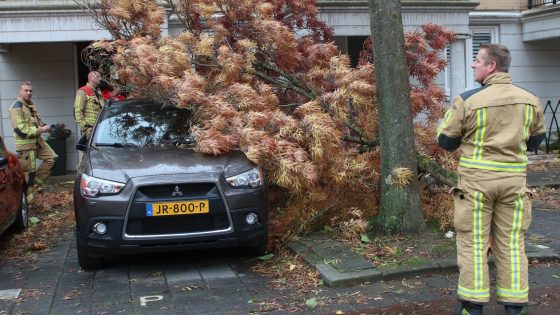 Grote tak valt op auto door storm in Rijswijk