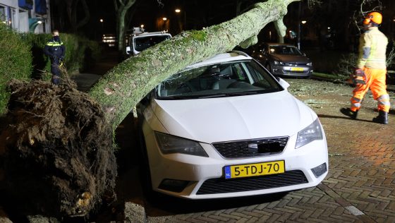 Schade in Rijswijk door harde wind