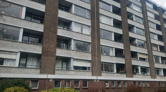 Bijna 8.500 woningzoekenden in Rijswijk: “Aantal is schrikbarend”