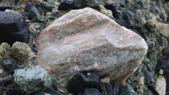 Opmerkelijke stenen gevonden uit de steentijd in Rijswijk