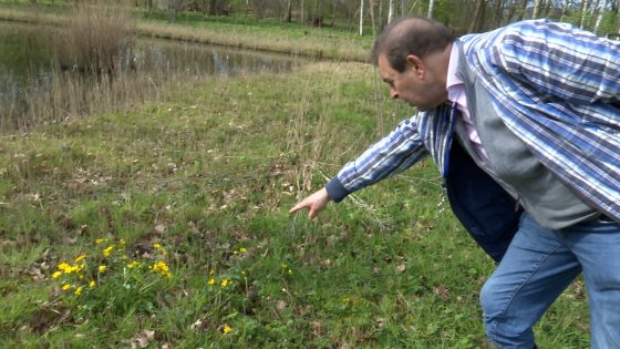 [VIDEO] Ontdek de lente op een unieke manier in de Natuurtuin van Rijswijk